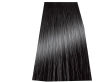 Chantal Prosalon Intensis Color Art Farba 5/11 100 - 2