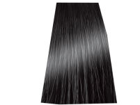 Chantal Prosalon Intensis Color Art Farba 5/11 100 - 2