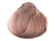 Alfaparf Evolution Of The Color Farba EOC 7.21 60 ml - 2