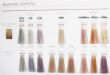 Schwarzkopf Blondme Farba Blonde Toning Krem 60 ml - 2