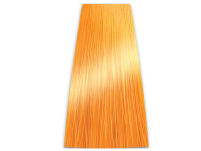 Chantal Prosalon Intensis Color Art Toner złoty - 2