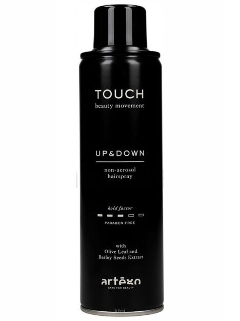 Artego Touch Up and Down Lakier bez gazu 400 ml