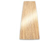 Chantal Prosalon Intensis Color Art Farba 9/3 100 - 2