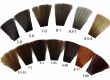 Schwarzkopf Igora Expert Mouss Pianka Koloryz. 100 - 2
