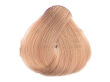Alfaparf Evolution Of The Color Farba EOC 9.1 60 ml - 2