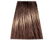Chantal Prosalon Intensis Color Art Farba 6/03 100 - 2