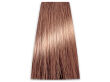 Chantal Prosalon Intensis Color Art Farba 8/04 100 - 2