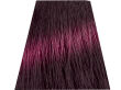 Chantal Prosalon Intensis Color Art Farba 5/24 100 - 2
