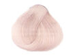 Alfaparf Evolution Of The Color Farba 11.21 60 ml - 2