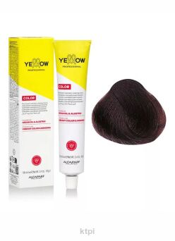 Yellow Professional Alfaparf  Color Permanent farba do włosów KOLOR 6.53 100 ml