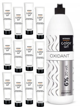 Chantal Prosalon Color Art Farba x12 sztuk + Woda
