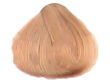 Fanola Color Crema Farba krem koloryzujący 9.13 - 2