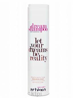 Artego Dream Shampoo Anti-Damage 250ml