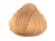 Alfaparf Evolution Of The Color Farba EOC 9.31 60 ml - 2
