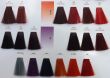 Chantal Prosalon Farba Color Art Pakiet 4 sztuki - 6