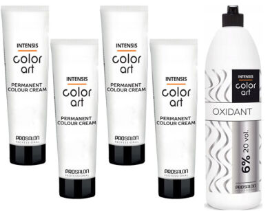 Chantal Prosalon Farba Color Art Pakiet 4 sztuki