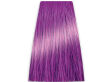Chantal Prosalon Intensis Color Art Toner fiolet - 2