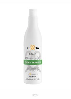 Yellow Professional Alfaparf  Scalp Energy szampon przeciw wypadaniu włosów 500ml