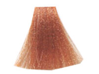Profis Lastrada Farba Do Włosów Z Miodem i Mlekiem 8.4 100ml - 2