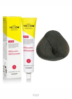 Yellow Professional Alfaparf Color Permanent farba do włosów KOLOR 6.11 100 ml
