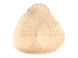 Alfaparf Evolution Of The Color Farba EOC 11.13 60 ml - 2