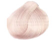 Alfaparf Evolution Of The Color Farba EOC 10.21 60 ml - 2