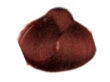 Alfaparf Evolution Of The Color Farba 7.66I 60 ml - 2