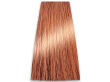 Chantal Prosalon Intensis Color Art Farba 9/04 100 - 2