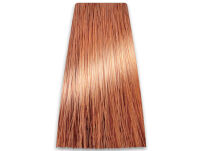 Chantal Prosalon Intensis Color Art Farba 9/04 100 - 2
