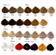 Alfaparf Evolution Of The Color Farba 60ml - 2