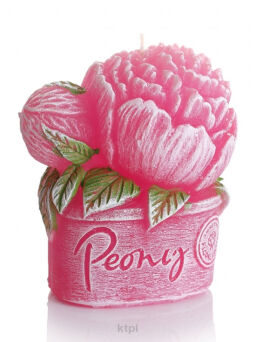 Bartek Candles Świeczka Peony ciemny róż 80 g