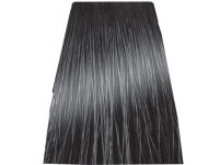 Chantal Prosalon Intensis Color Art Farba 6/11 100 - 2