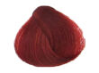 Fanola Color Crema Farba krem koloryzujący 6.6 100 - 2