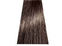 Chantal Prosalon Intensis Color Art Farba 6/1 100 - 2