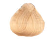 Alfaparf Evolution Of The Color Farba EOC 10.31 60 ml - 2