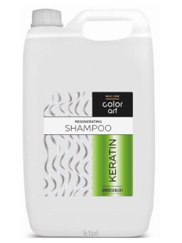 Prosalon ColorArt Szampon REGENERUJĄCY Keratyna 5L