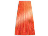Chantal Prosalon Intensis Color Art Farba 10/44  - 2