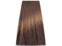 Chantal Prosalon Intensis Color Art Farba 8/13 100 - 2