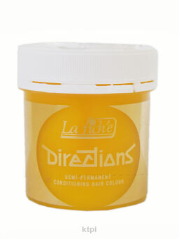 La Riche Toner Directions 100 ml