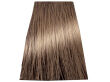 Chantal Prosalon Intensis Color Art Farba 7/0 100 - 2