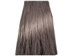 Chantal Prosalon Intensis Color Art Farba 7/1 100 - 2