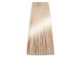 Chantal Prosalon Intensis Color Art Farba 9/03 100 - 2