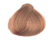 Alfaparf Evolution Of The Color Farba EOC 8.23 60 ml - 2