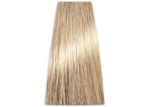 Chantal Prosalon Intensis Color Art Farba 10/0 100 - 2