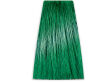 Chantal Prosalon Intensis Color Art Toner zielony - 2