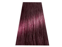 Chantal Prosalon Intensis Color Art Farba 4/6 100 - 2