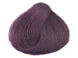 Alfaparf Evolution Of The Color Farba 5.22 60 ml - 2