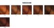 Loreal Dia Color farba do włosów koloryzacja ton w ton 60 ml 8.31 - 9