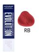 Alfaparf Evolution of the color farba do włosów EOC RB 60 ml - 2