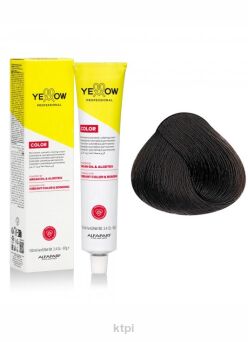 Yellow Professional Alfaparf  Color Permanent farba do włosów KOLOR 5.00 100 ml